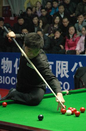 表现出色 表现出色